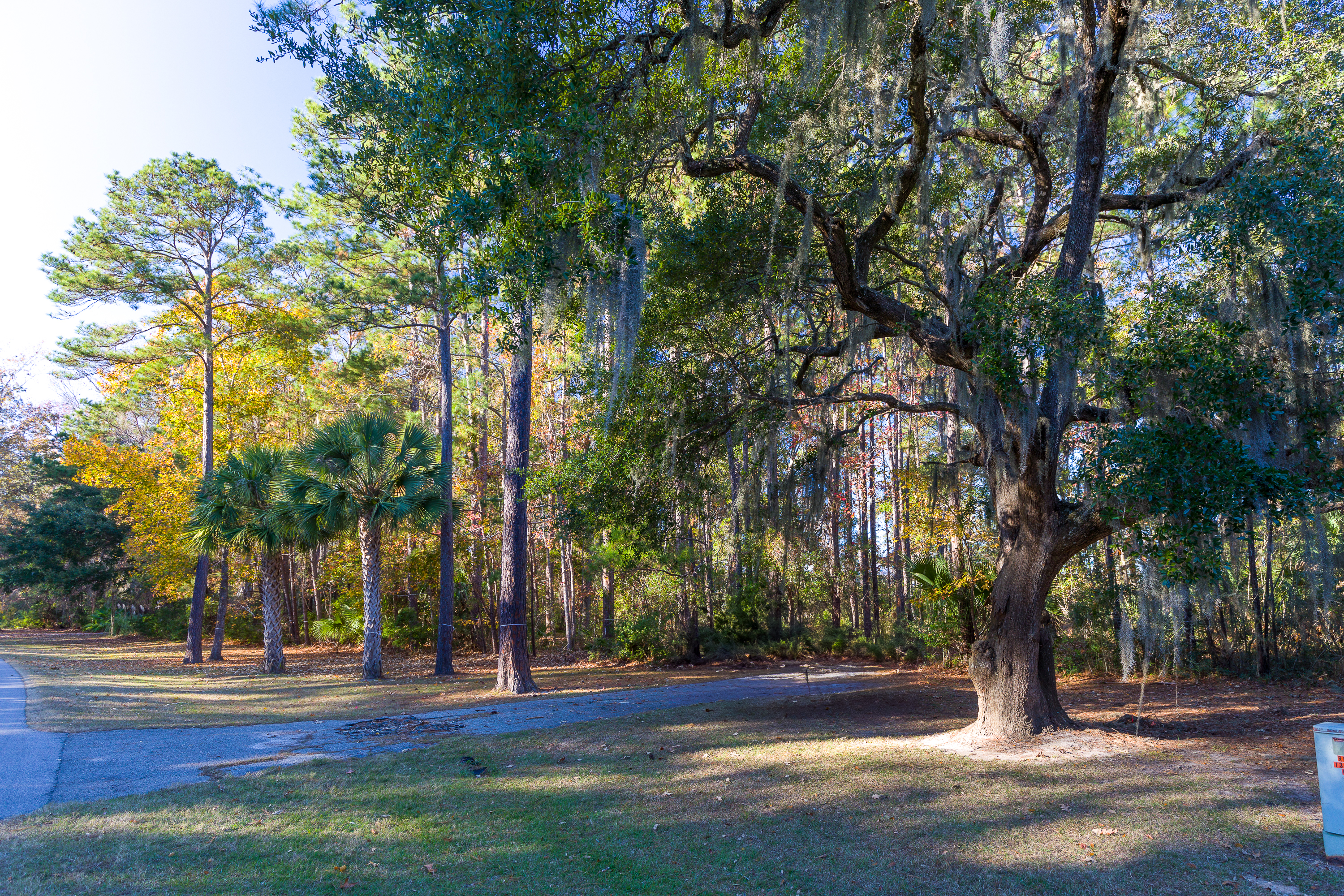 Hilton Head home designed by Kermit Huggins, blending mid-century modern and Lowcountry style.